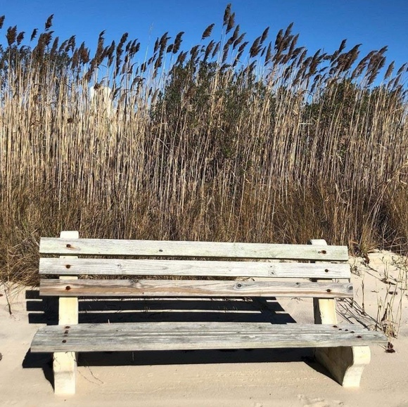 Meet your Posher, Diana - Picture 2 of 10